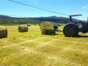 24 ha Farm in Somerset East
