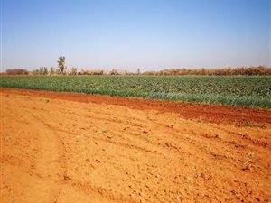 24 m² Farm in Wonderboom AH