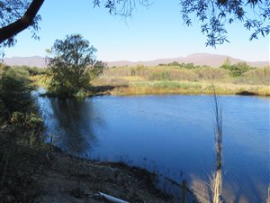 12.5 ha Farm in Robertson