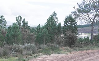 676 m² Land available in Caledon