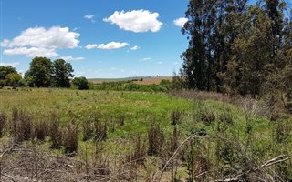 227 ha Land available in Rosetta
