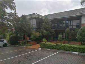 242 m² Office Space in Bryanston