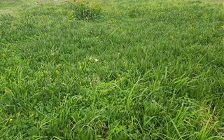 494 m² Land available in Highbury