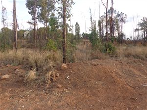 1416 m² Land available in Roodeplaat