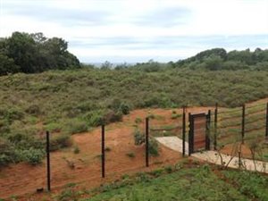 2 Bedroom Apartment in Sibaya Precinct