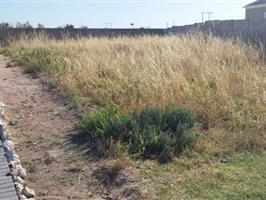 339 m² Land available in Saldanha