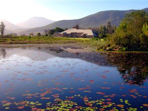 31 ha Farm in Natures Valley