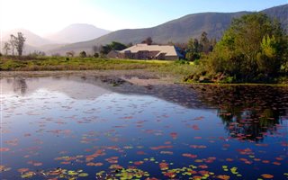 31 ha Farm in Natures Valley