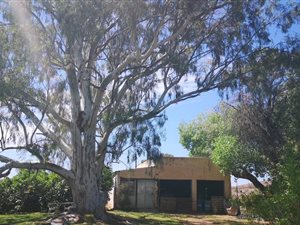 2.5 ha Farm in Upington