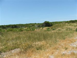 700 m² Land available in Van Dyks Bay