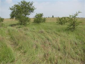5 ha Land available in Mooiplaats AH