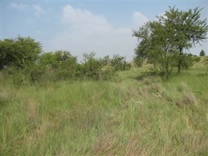 5 ha Land available in Mooiplaats AH