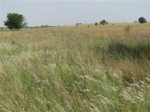 5 ha Land available in Mooiplaats AH