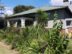 2 Bed House in Homelake