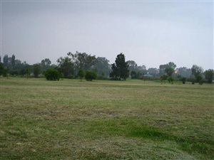 463 m² Land available in Bedworth Park