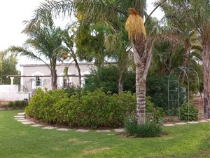 306 ha Farm in Ladismith