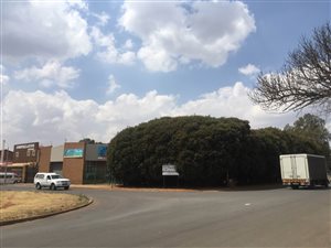 600 m² Office Space in Rhodesfield