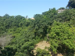 3 Bed Cluster in Westville