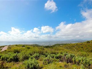 1111 m² Land available in Fernwood