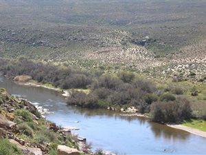 5340 ha Farm in Calvinia