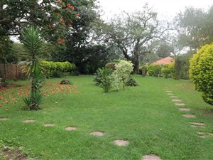 3 Bed House in Camperdown