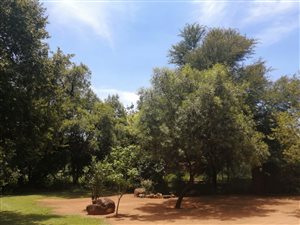 1.5 ha Farm in Groot Marico