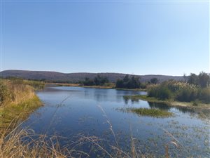 530 ha Farm in Modimolle