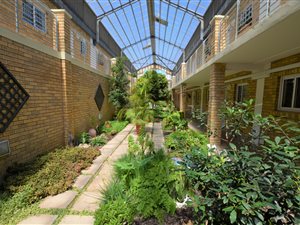 2 Bed Apartment in Gordons Bay Central