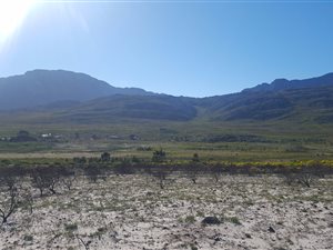 924 m² Land available in Pringle Bay