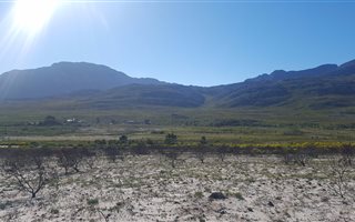 924 m² Land available in Pringle Bay