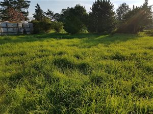 1271 m² Land available in Die Bult
