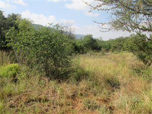 24 ha Land available in Rietfontein
