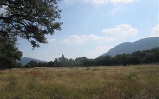24 ha Land available in Rietfontein