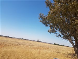 12 ha Farm in Vaalfontein