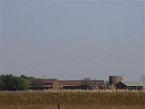 70 ha Farm in Bapsfontein