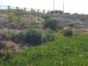 500 m² Land available in Dana Bay