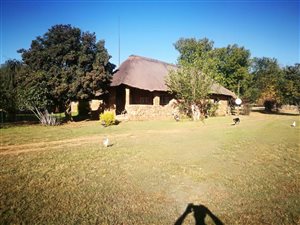 43.1 ha Farm in Delmas