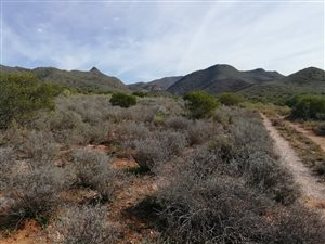 616 ha Farm in Oudtshoorn