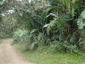1312 m² Land available in Trafalgar