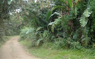 1312 m² Land available in Trafalgar
