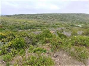 840 m² Land available in Pinnacle Point Golf Estate