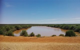 1967 ha Farm in Carnarvon