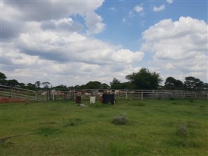 536 ha Farm in Modimolle