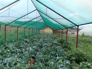 8.5 ha Farm in Rensburg