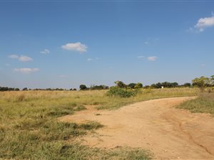 8.3 ha Farm in Knopjeslaagte
