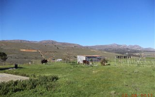 3.5 ha Farm in Tesselaarsdal