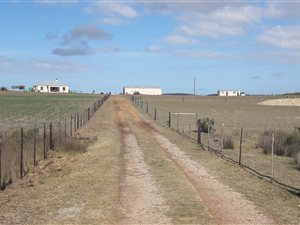 72 ha Farm in Albertinia