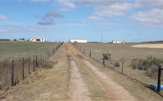 72 ha Farm in Albertinia