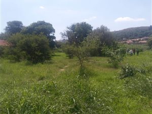 1248 m² Land available in East Lynne