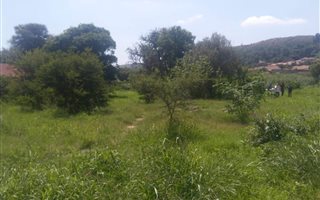 1248 m² Land available in East Lynne